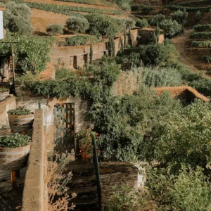 Exploring the Vibrant and Refreshing Wines of Northern Portugal